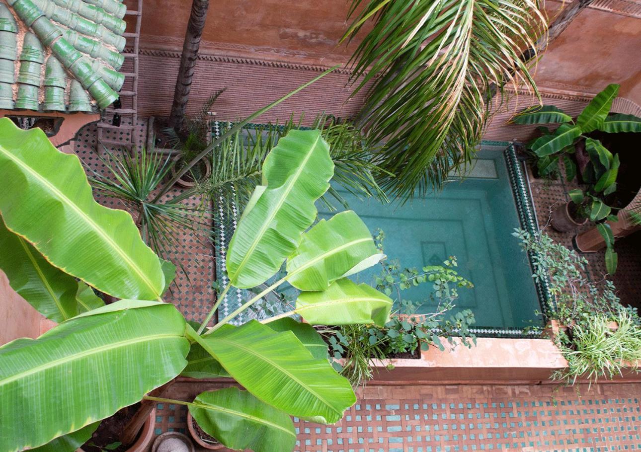 Riad Amirat Al Jamal Marrakesh Extérieur photo